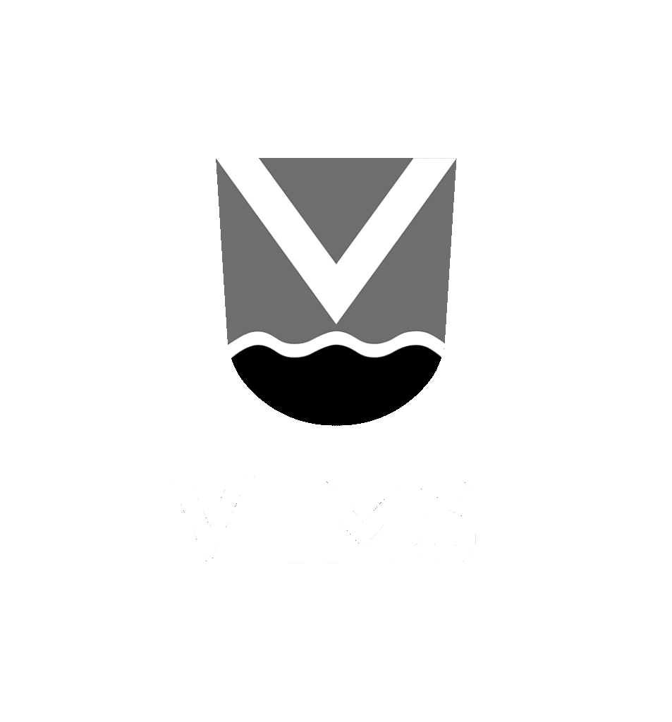 Viimsi vald