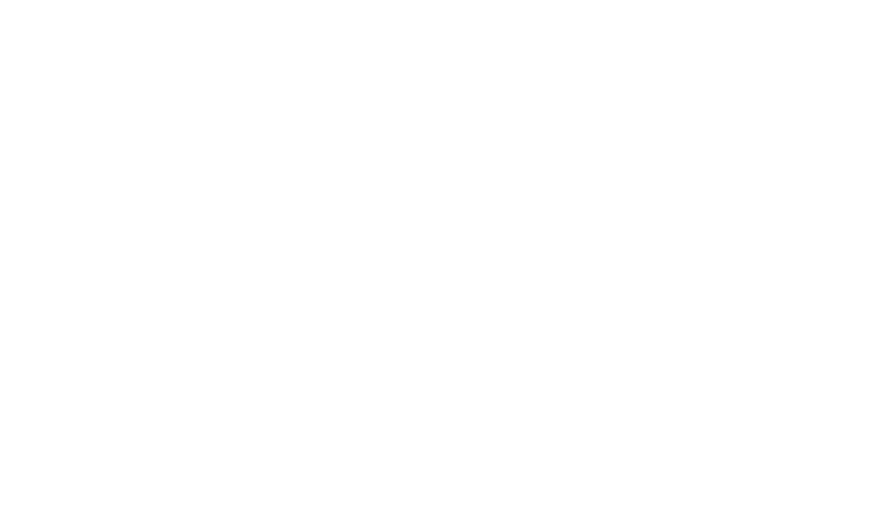 Bulltrans